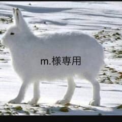 m.様専用のサムネイル