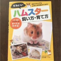 かわいいハムスター飼い方・育て方のサムネイル