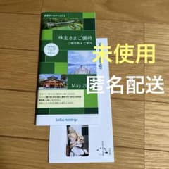 38000円分　西武ホールディングス　共通割引券　株主優待券 西武ホールディングス株主優待 割引券3000円分 （1000円割引券3枚