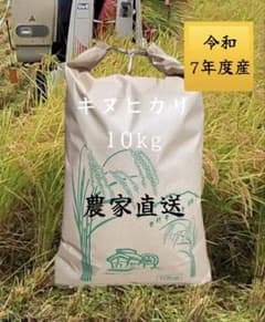 米 滋賀県産 近江米 キヌヒカリ 10kg 令和7年度産 - メルカリ