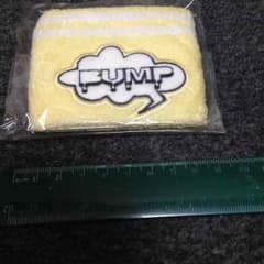バンプオブチキン BUMP OF CHICKEN リストバンド 新品のサムネイル