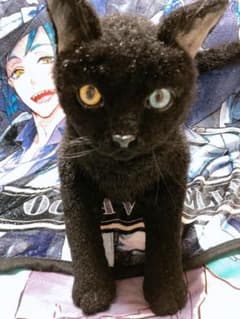 猫ぬいぐるみ 海外作家ハンドメイドのサムネイル