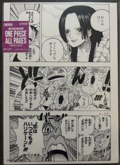 ONE PIECE ALL PAGES アマゾン・リリー編 ハンコック - メルカリ