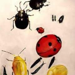 こみおん様専用のサムネイル