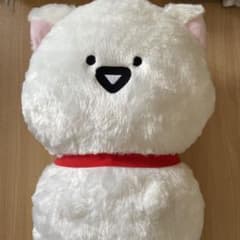 문구 씨와 함께 고양이가 될 수 봉제 인형 XL 프리미엄 문구 씨