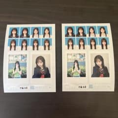 seju 証明写真 vol.2 伊藤彩華 2枚セットのサムネイル