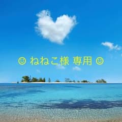 ◡̈♥︎  ねねこ様 専用♡ No.102  No.104 ◡̈♥︎のサムネイル