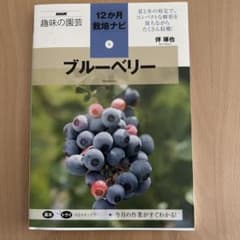 ブルーベリー 12か月栽培ナビのサムネイル