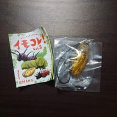 なほ様専用イモコレ！オオゴマダラ金色の蛹のサムネイル