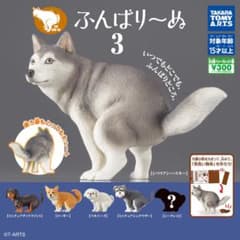 ふんばりーぬ 3 シベリアンハスキーのサムネイル