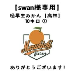 【swan様専用】極早生高林10キロ ①のサムネイル
