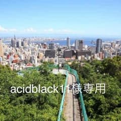 【acidblack11様専用】 ガラアーベント Gジャンタイプのサムネイル