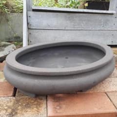 希少品　常滑焼時代鉢　和泉屋製陶所　銭号磨製　外縁袋式楕円鉢　55ｃｍ　盆栽鉢 希少品 常滑焼時代鉢 和泉屋製陶所 銭号磨製 外縁袋式楕円鉢 55cm