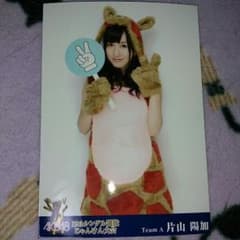 AKB48のサムネイル