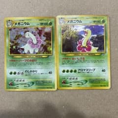 ポケモンカード　旧裏　メガニウム　セットのサムネイル
