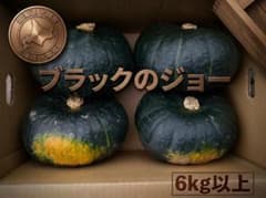 【農家直送】北海道十勝産 かぼちゃ ブラックのジョー 4玉6kg以上 農薬不使用のサムネイル