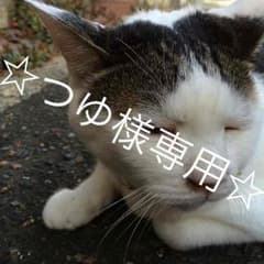 刀剣乱舞 缶バッジのサムネイル