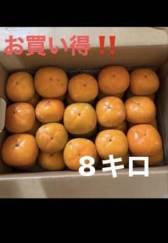和歌山県九度山産 刀祢早生柿 訳あり御家庭用8キロ（箱込み）のサムネイル