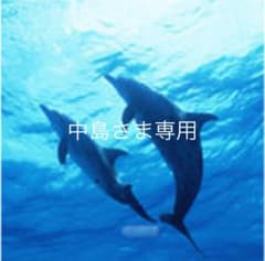 中島さま専用ページのサムネイル