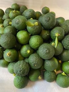 無農薬　青柚子　1キロ前後のサムネイル