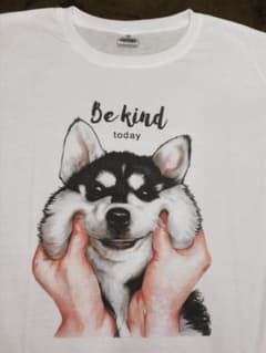 おもしろ Tシャツ M 犬 いぬ やさしくしてね メンズ レディースのサムネイル