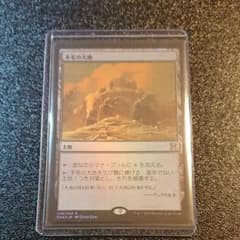 MTG 不毛の大地 foilのサムネイル