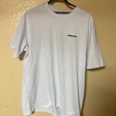 patagonia パタゴニア Tシャツのサムネイル