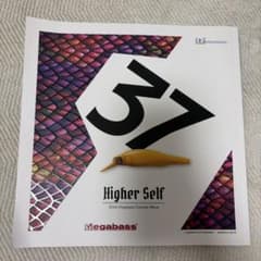 Megabass Higher Self 2024 Concept Albumのサムネイル
