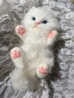 羊毛フェルト 猫　白猫　ハンドメイドのサムネイル