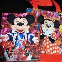 イマジニング ザ マジック ディズニー 写真集のサムネイル