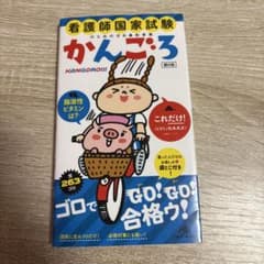 看護師国家試験のためのゴロあわせ集 かんごろのサムネイル