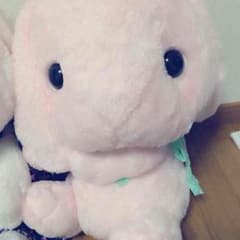 ぬいぐるみのサムネイル
