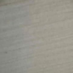 kiyoさん専用 ロッテタオルのサムネイル