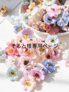 そると様専用ページのサムネイル