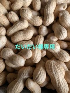 『だいだい様専用』千葉県産　農薬不使用　おおまさり1㌔のサムネイル