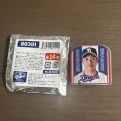 【お値下げ】中日ドラゴンズ 岡林選手 選手名鑑アクリルクリップのサムネイル