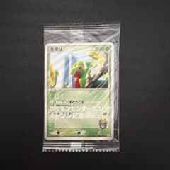 希少】ポケモンカード キモリ ポケモンセンターヨコハマ プロモ 未開封