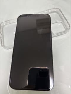 Apple iPhone 13 Pro max 1tb 본체