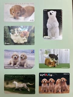 ③ 癒やし系動物〜テレホンカード他（使用済み）のサムネイル