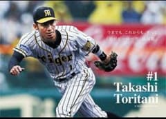 阪神タイガース ★ タイガース ★ 鳥谷 ★ 甲子園のサムネイル