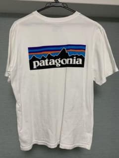 patagonia パタゴニア Tシャツのサムネイル
