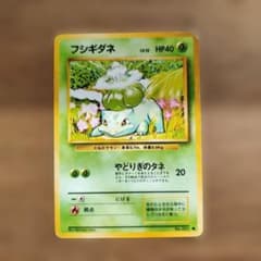 （最安値）フシギダネ CLF/001 PSA10 ポケモンカード classic PSA10鑑定済み】PK-CLF-001 フシギダネ | ポケモンカード,その他,PSA