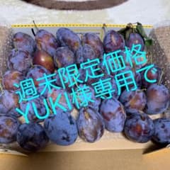 YUKI様専用です。のサムネイル