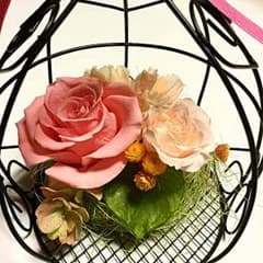 フェアリーバスケットのサムネイル