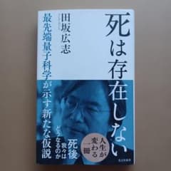 死は存在しない : 最先端量子科学が示す新たな仮説のサムネイル