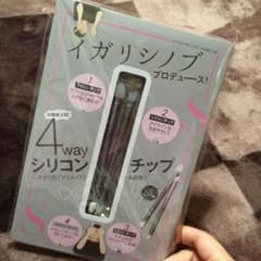 イガリシノブ シリコンチップ 1セットのサムネイル