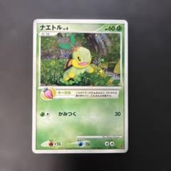 ポケモンカード　ナエトル けいけんちプレゼント　001/DP-PPP 6y ポケモンカード ナエトル けいけんちプレゼント 001/DP-PPP 6y - メルカリ