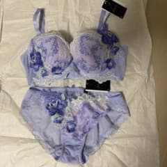 Wacoal Salute ブラジャーショーツセット E75&Lのサムネイル