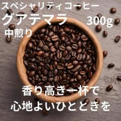 自家焙煎コーヒー豆グアテマラフロレンツィアブルボン中煎り300gのサムネイル