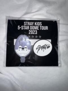stray kids FCクジ　バンチャン　ウルフチャンのサムネイル